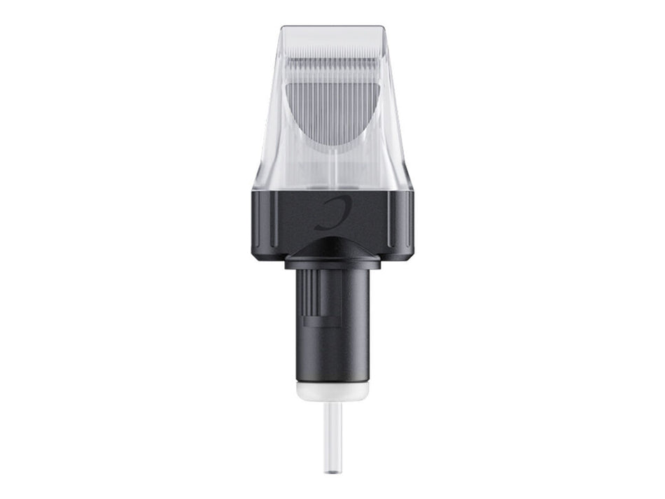 Cheyenne Cartridges - Big Magnums - Box of 10