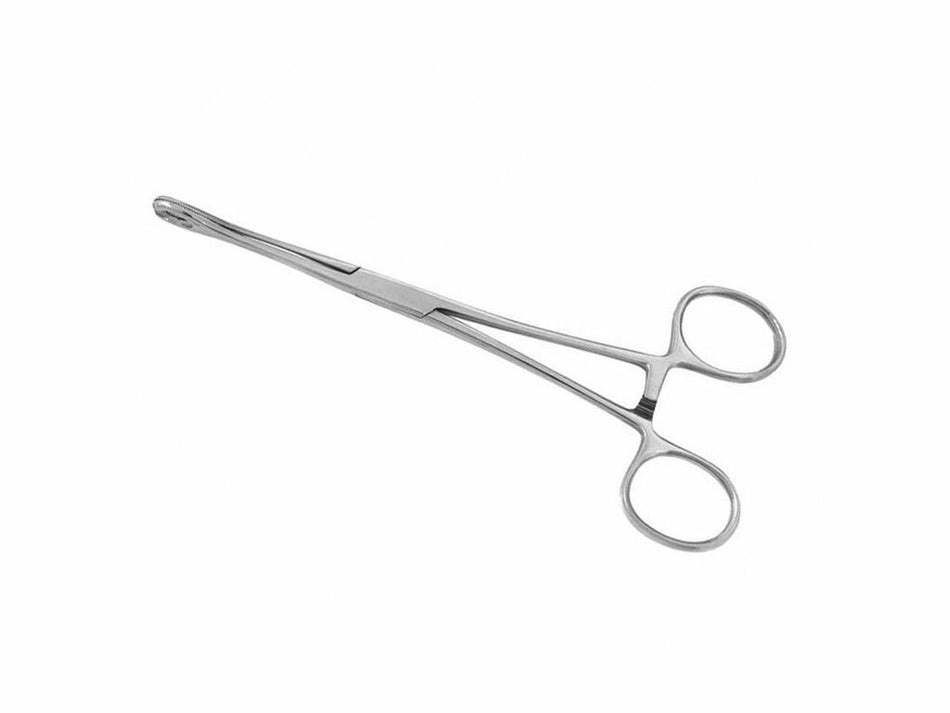 Spongetång – Ospaltad