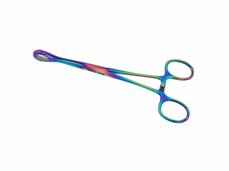 Spongetång – Ospaltad – Flerfärgad